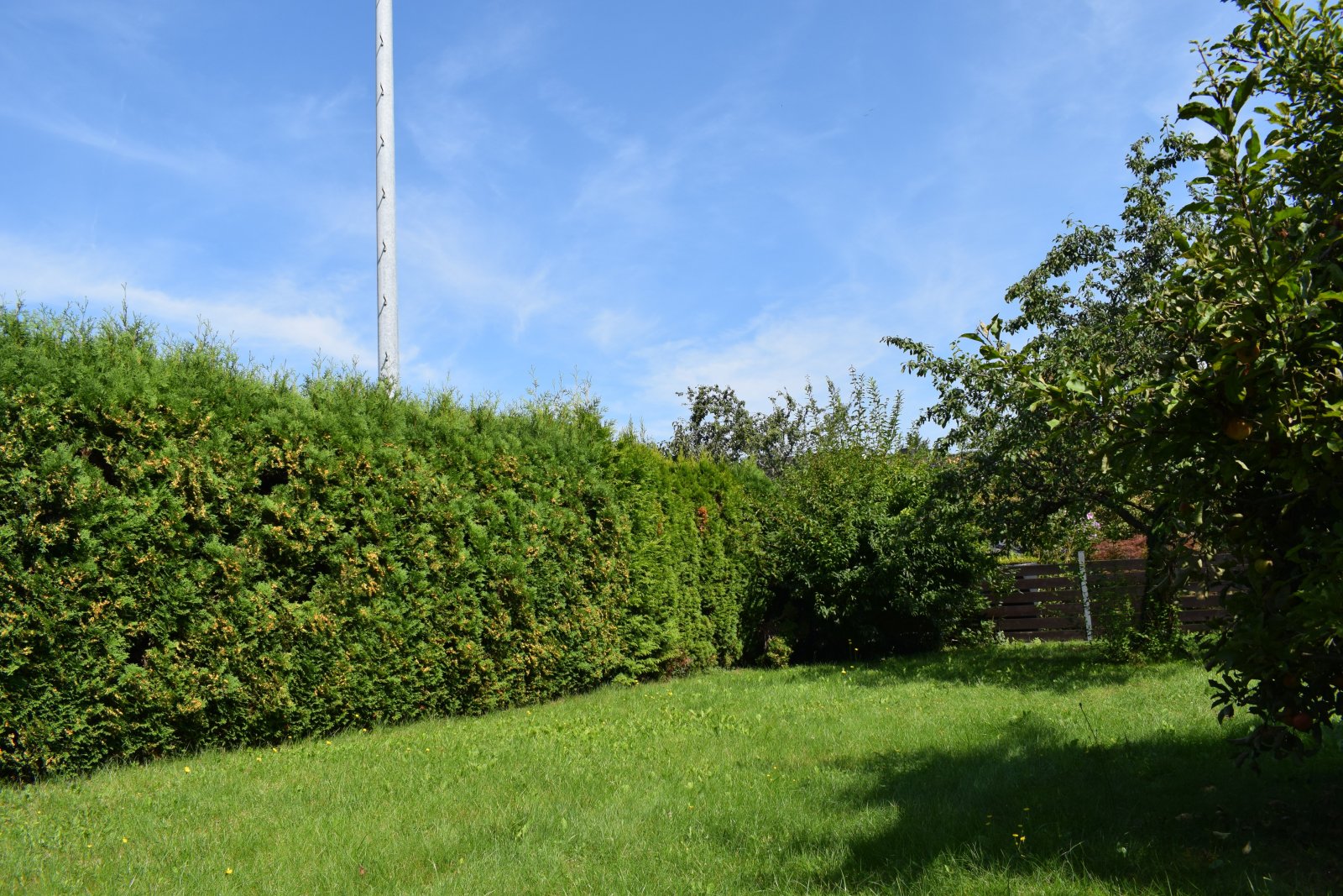 Sonniges GRUNDSTÜCK in MÜNCHEN - Trudering !