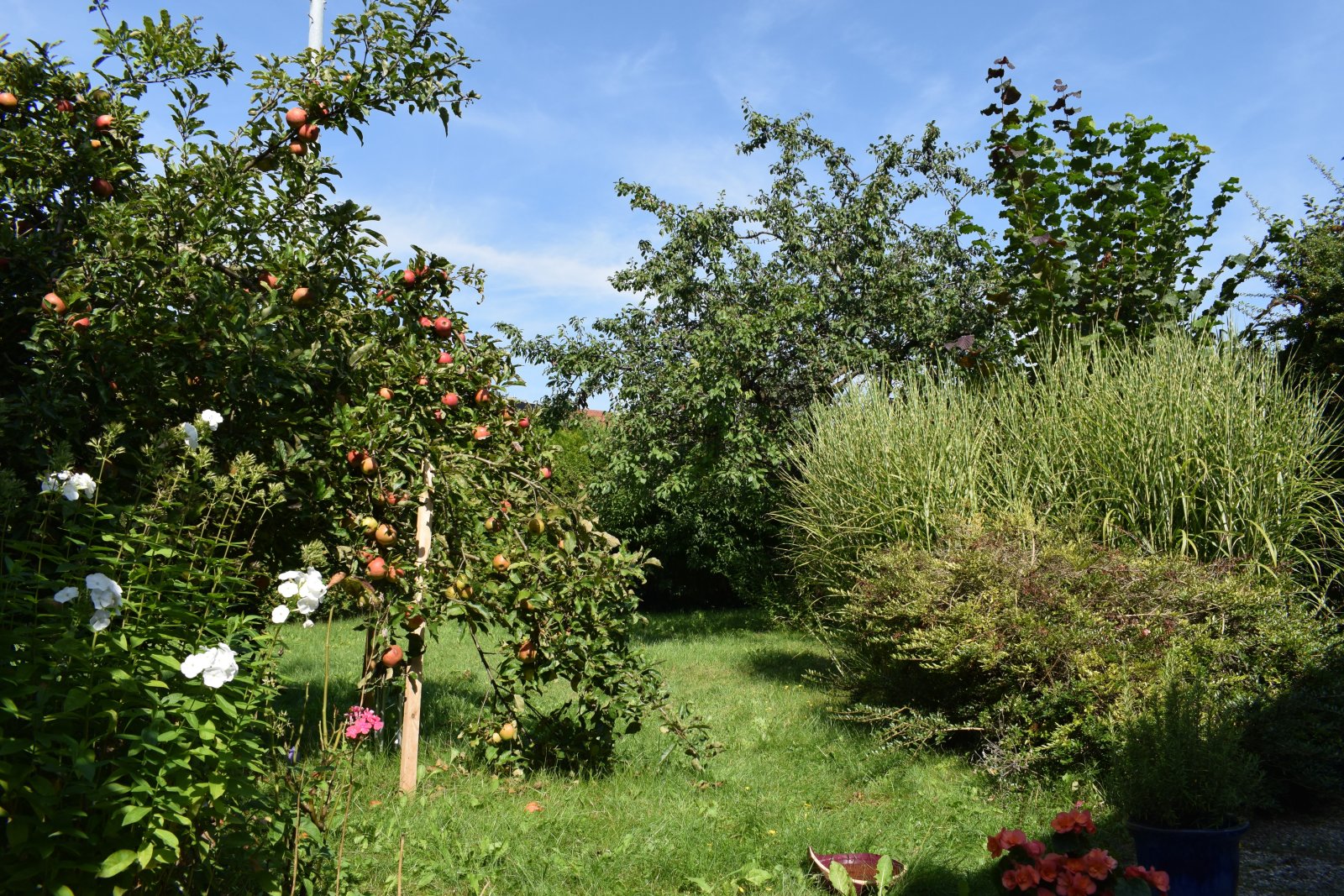Sonniges GRUNDSTÜCK in MÜNCHEN - Trudering !